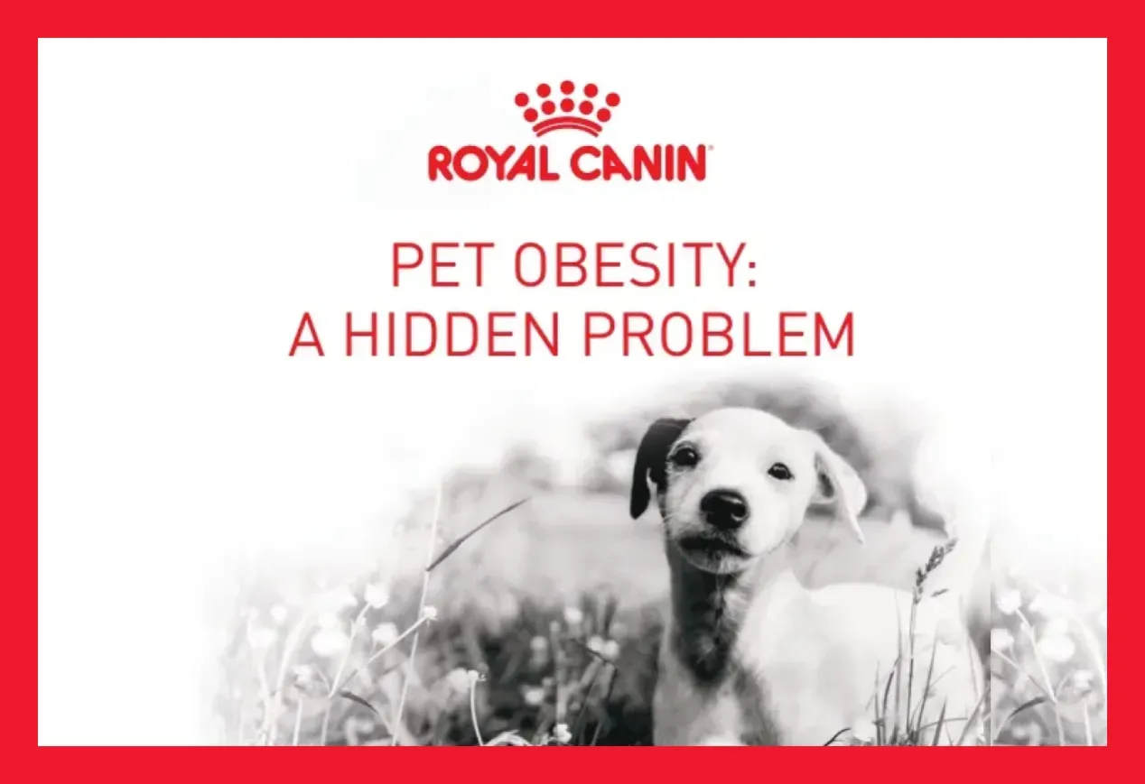 royal canin