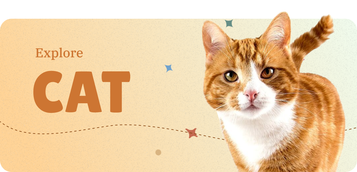 Discover cat-breeds information