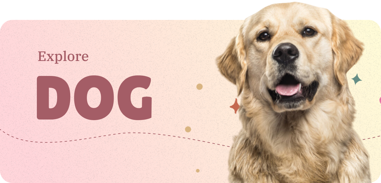 Discover dog-breeds information
